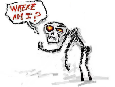 Skeleton
